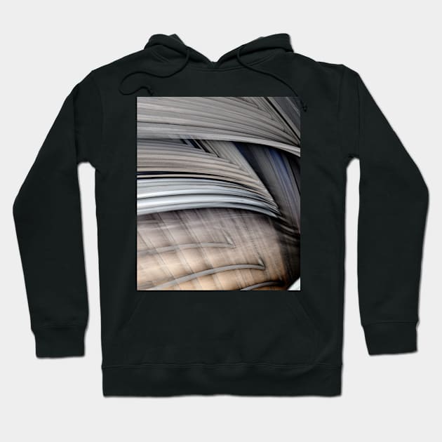 Fractals art...8 Hoodie by AtelierFafard